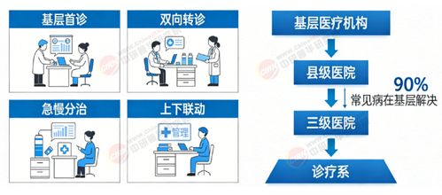 2026-2030年中国体外诊断行业全景与投资战略分析 智测引领，数字新蓝海